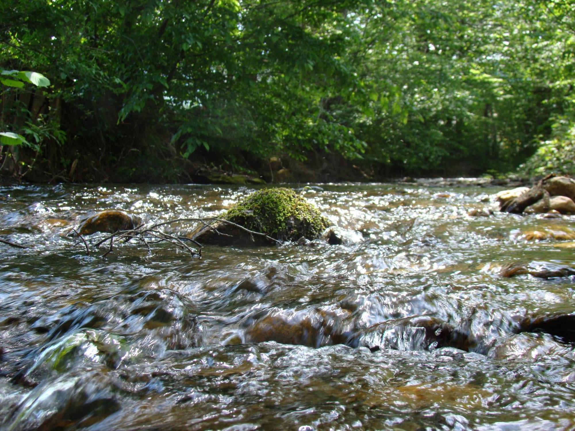 Gasthof Stegweber Schwanberg Buitenkant foto